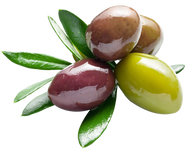 Infused Extra Virgin Olive Oils